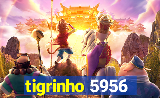 tigrinho 5956
